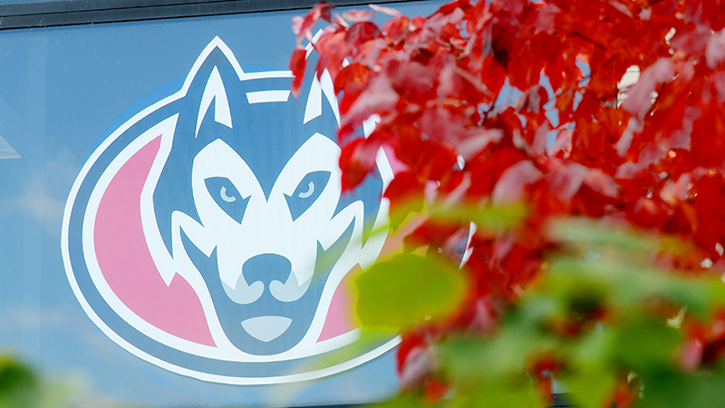 Husky decal on building with fall leaves