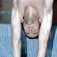 Luke Weber, national champion 3-meter diver