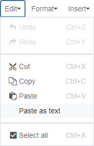 paste as text option