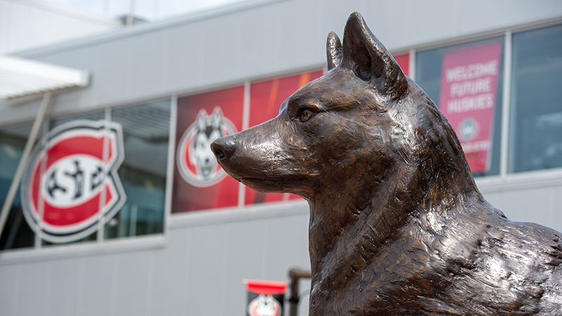 Bronze husky statue on SCSU campus