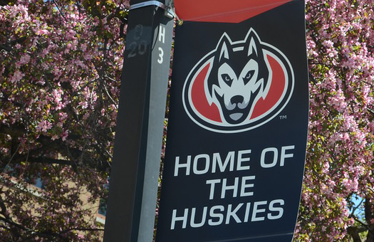 St Cloud State University