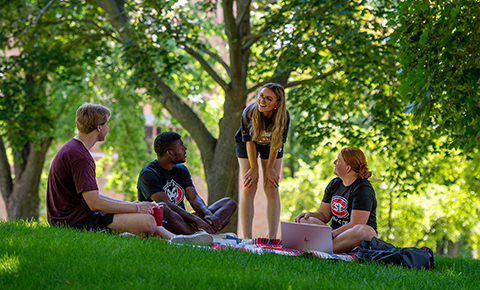 Students in a study group outdoors on the SCSU campus