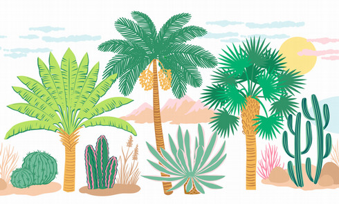Cactus desert landscape illustration
