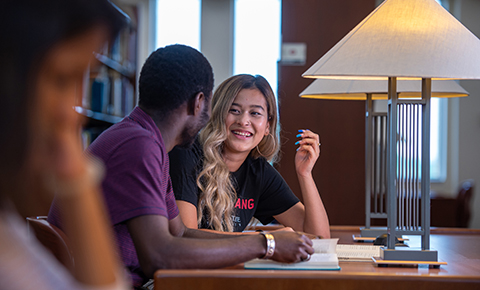 Students working in the St. Cloud State library