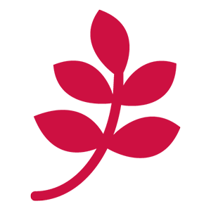 Red leaf icon
