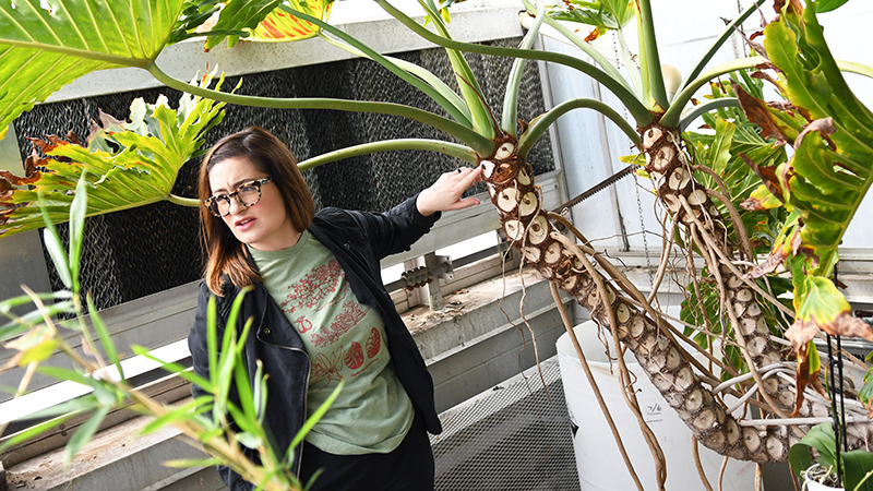 Biology professor pointing out node on large palm tree