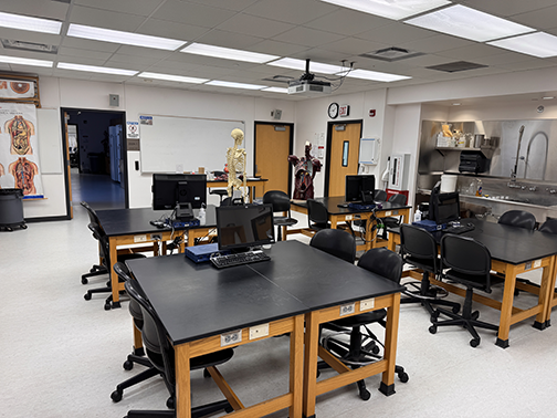 Anatomy lab stations