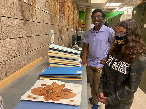 student curators with a plant specimen sample