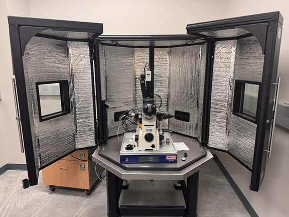 Atomic force microscope