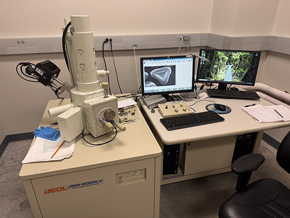 Scanning electron microscope