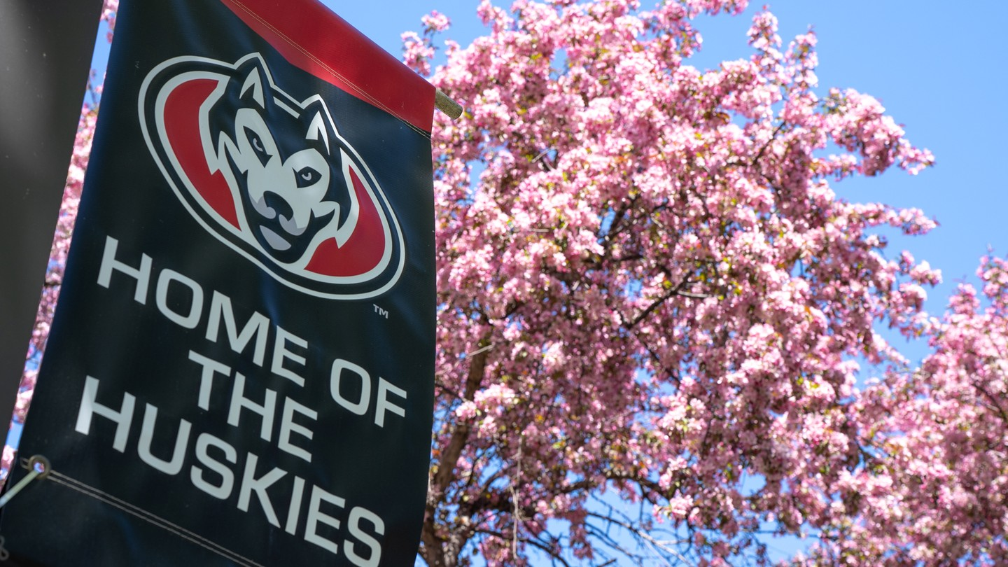 St. Cloud State: Home of the Huskies banner