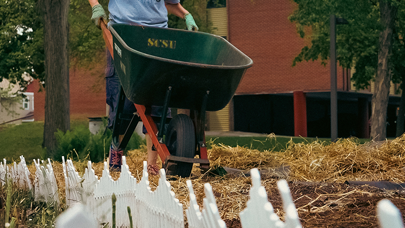 Wheel barrow in community garden