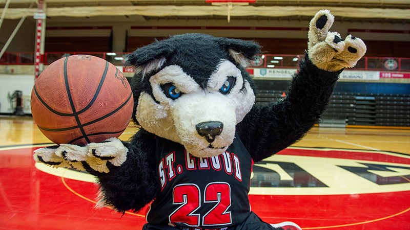 SCSU mascot, Blizzard, holding a basketball on court