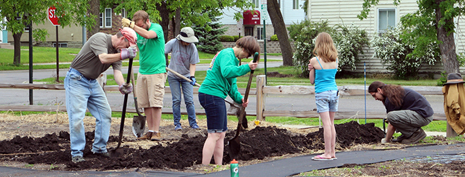 Planting potatoes