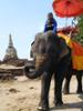 Elephant Ride at the Market, Kifaya Bishop