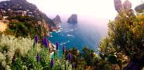 Orlo Della Terra - Capri Island, Bailey Italy: LaPoint Orlo Della Terra meaning "edge of the earth" in Italian is what I thought of when encountering this spectacular view on the island of Capri in southern Italy. When observing this view and all of its beauty, I couldn't help but appreciate the vibrant colors in the natural wildflowers surrounding the frame of my picture. I think the colors in this photo really represents the feel of the island of Capri; vibrant and bold. The people were all incredibly friendly, helpful, and full of life, similar to the tones in the image.