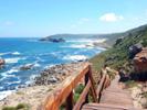 Robberg Nature Reserve, Austin Johnson: I drove down the Garden Route between Port Elizabeth and Cape Town and witnessed, firsthand, the amazing scenery that South Africa has to offer. I saw a desert landscape filled with Ostrich and cactus and drove a couple hours later to an amazing coastline amongst the mountains. Here, I took a hike in Robberg Nature Reserve to get fresh air and try my luck at spotting the rare African Black Oystercatcher or the rare Blue Duiker. My luck struck out, but I certainly walked away with memories of a beautiful nature reserve to last a lifetime.