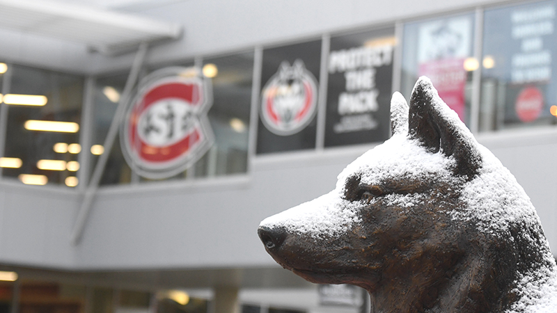 Husky statue with snow on it