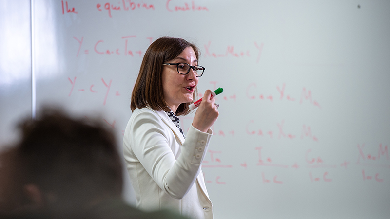 A professor of economics speaking in a class