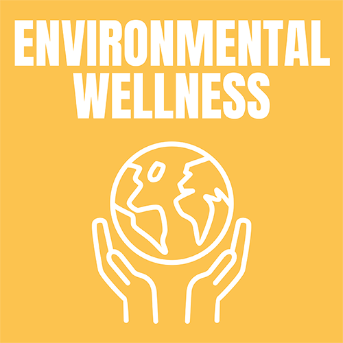 environmental wellness