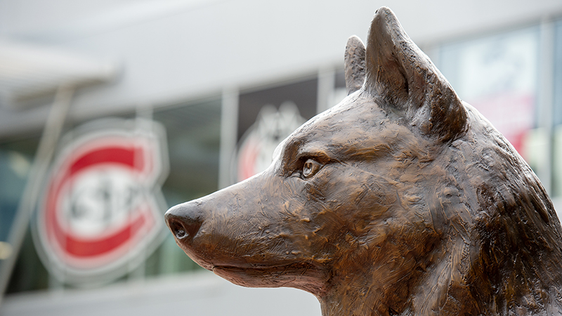 Husky Statue