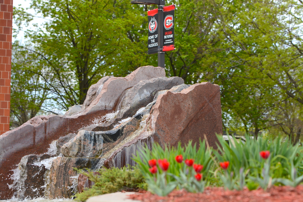 Red tulips by fountain