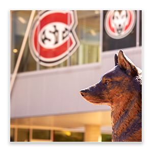 Bronze wolf statue in profile with a modern glass building behind it displaying red and black husky logos.