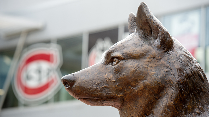 Bronze husky statue head