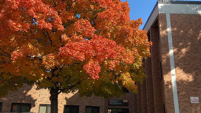 A tree with bright orange and red leaves stands in front of Webster Hall on a sunny day.