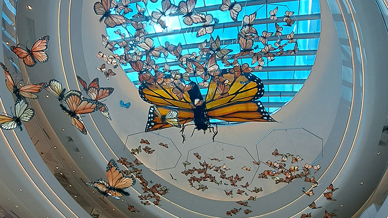 Colorful monarch butterfly installation swirling beneath a bright circular skylight in a modern atrium.