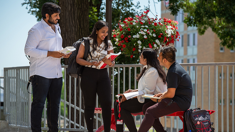 Four international students speaking outside on SCSU campus