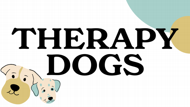 Therapy Dogs
