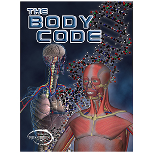 The Body Code movie poster