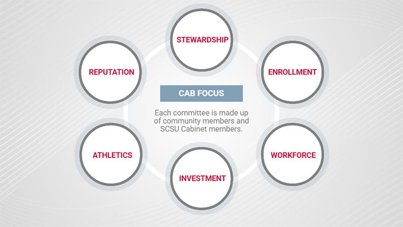 A graphic with the 6 board committees in a circle