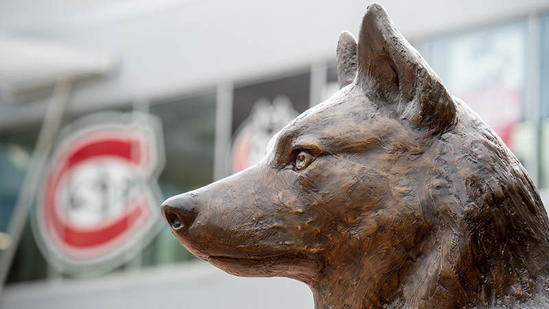 Bronze husky statue on Husky Plaza