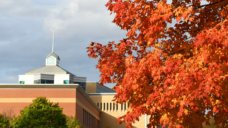 Fall leaves frame a St. Cloud State University campus building