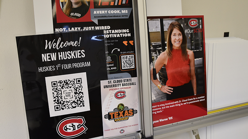 A collage of poster examples on display board