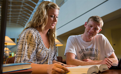 Business Economics