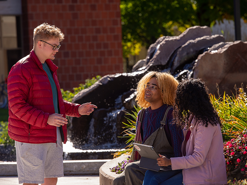 Students talking by fountain