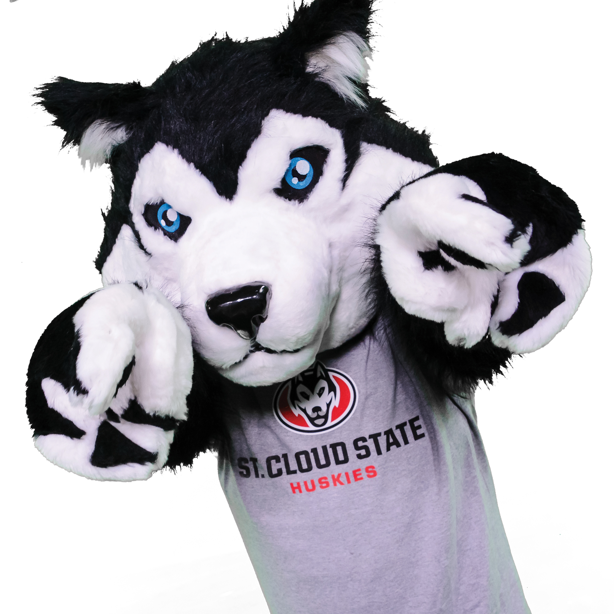 D2L Scsu - 5clo0yn