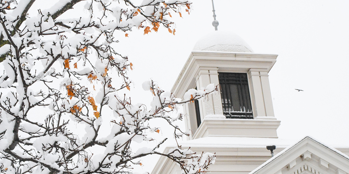 Snowy cupola