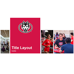 Example of SCSU PowerPoint slide