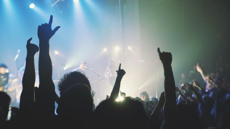 an audience at a concert