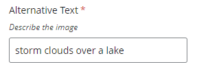 alt text field example