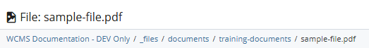 the file in Cascade showing the file path